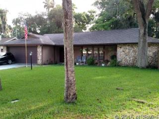 1815 Mango Tree Dr, Edgewater FL  32132-3325 exterior