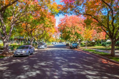 5892 El Zuparko Dr, San Jose, CA 95123-2535