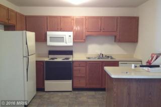507 Olde Greenwich Cir, Fredericksburg VA  22408-4062 exterior