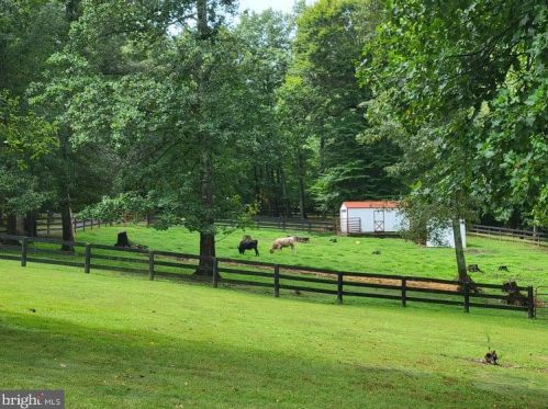3333 Elly Rd, Aroda, VA 22709-1024