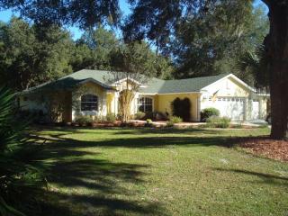 2401 Olympic Hills Ter, Inverness, FL 34450-6229