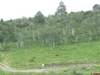 22 Alpine Ln, Ridgway, CO 81432-9320