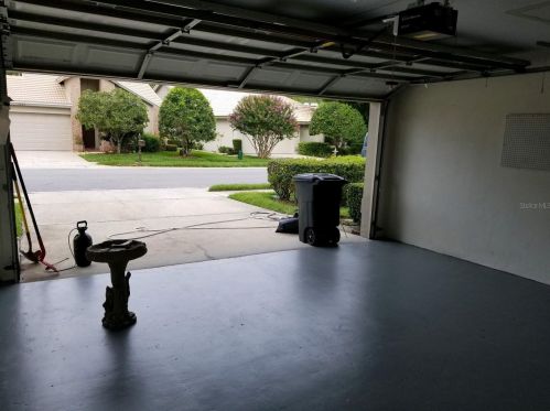 3664 Darston St, Palm Harbor FL  34685-1182 exterior