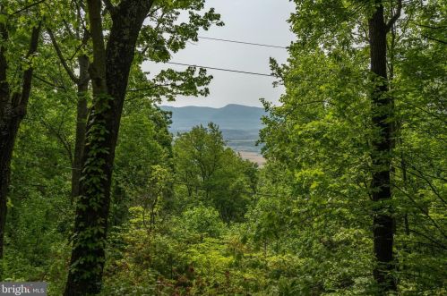 738 Forest Drive Ext, Richmond National Battlefiel VA  22835-5901 exterior