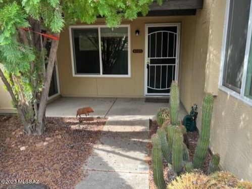 4325 Pyracantha Dr, Tucson, AZ 85741-1698