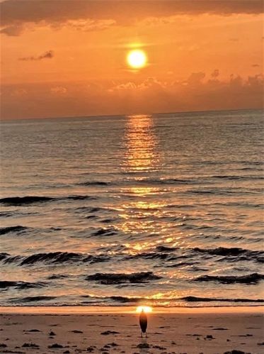 775 Jeffery St, Boca Raton FL  33487-4102 exterior