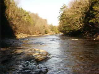 3624 Vandewater Falls Rd, West Carthage NY  13619-2212 exterior