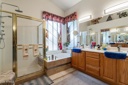 1064 Palomino Crk Dr, Gilbert AZ 85296-3727 exterior