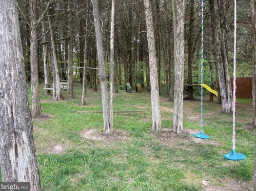 3098 Hamburg Rd, Edinburg VA  22824-3093 exterior