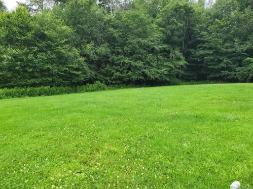 499 Tanzman Rd, Parksville, NY 12768-5122