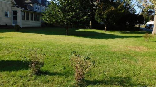 69 Pleasant St, Manchester, CT 06040-5834
