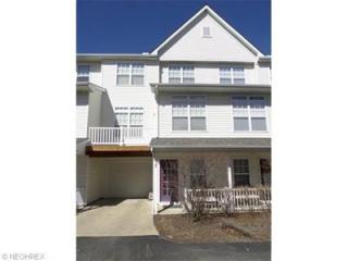 1222 Chapman Ln, Medina, OH 44256-6782