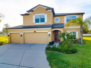 312 Dakota Hill Dr, Seffner, FL 33584-5071