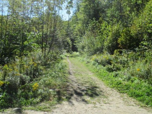 579 River St, South Londonderry, VT 05155