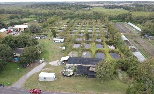 11015 Sumner Rd, Wimauma, FL 33598-2029