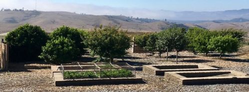1555 Harmony Ranch Rd, Harmony CA  93435-5019 exterior