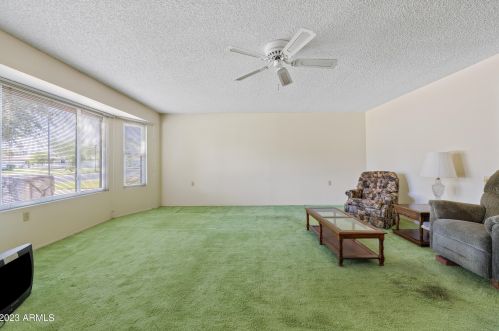628 Leisure World, Mesa, AZ 85206-3133