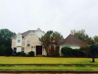 8894 Valley Creek Dr, Lakeland, TN 38002-4482