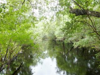 163 Persimmon Rd, Saint Teresa, FL 32358-0714
