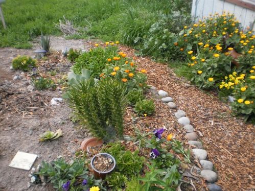 4440 Belmont Dr, Sebastopol, CA 95472-6307