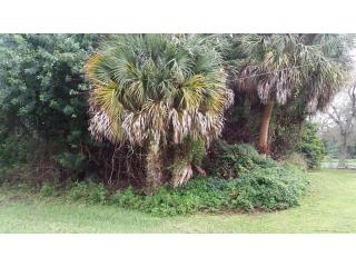 685 Wimbrow Dr, Sebastian, FL 32958-4255