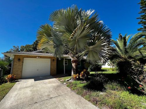 2420 Orange Tree Dr, Edgewater, FL 32141-5026