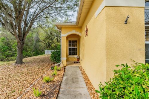 11445 Bathgate Ct, New Port Richey FL  34654-4588 exterior