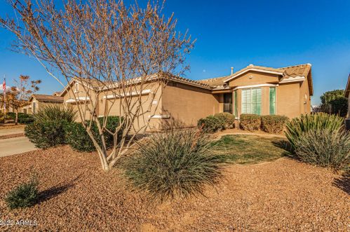 20643 Lemon Drop Dr, Maricopa, AZ 85138-3149