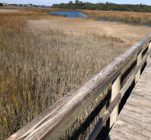 116 Slipper Shell Ct, Mount Pleasant SC  29464-6724 exterior