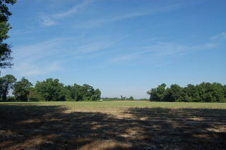 7433 Us Highway 117, Fremont, NC 27830-9166