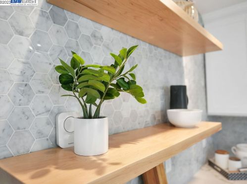 518 Stannage Ave, Berkeley CA  94706-1223 exterior