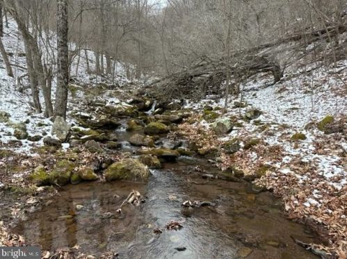2461 Simoda Rd, Riverton, WV 26814