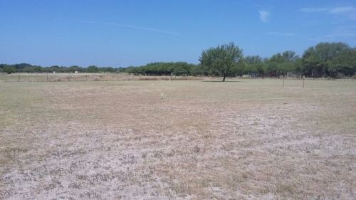 1580 Private Road 2310, Uvalde, TX 78801-6726