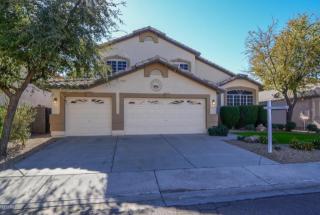 5039 Taro Dr, Glendale, AZ 85308-9208