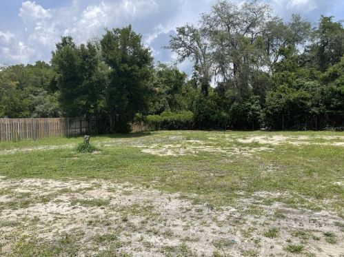 32143 Wacassa Trl, Mount Plymouth FL  32776-8936 exterior