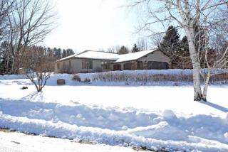 1660 Lakehurst Rd, Peplin, WI 54455-9328