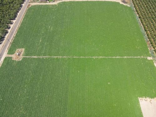 2617 Lincoln Blvd, Livingston CA  95334-9623 exterior