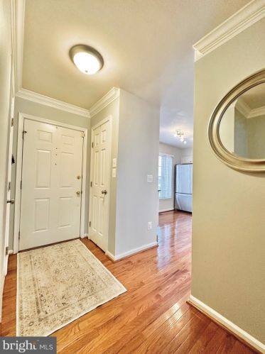 6527 Castine Ln, Springfield VA  22150-4278 exterior