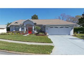 13616 Deventer Ct, Port Richey, FL 34667-6532