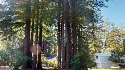 34900 Tock Ln, The Sea Ranch CA  95445-8567 exterior