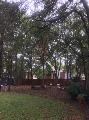 2801 Park Dr, Lewisville TX  75022-4342 exterior