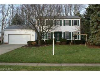 668 Hillcrest Dr, Wadsworth, OH 44281-8637