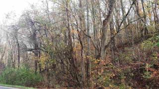 4105 Cosby Hwy, Cosby TN  37722-2643 exterior