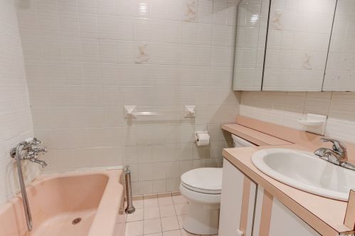 295 Herbert Pl, Bethpage NY  11714-4713 exterior