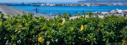 2844 State St, San Diego, CA 92103-6045