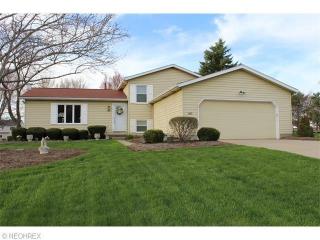 1481 Carriage Hl Dr, Hudson OH  44236-4046 exterior