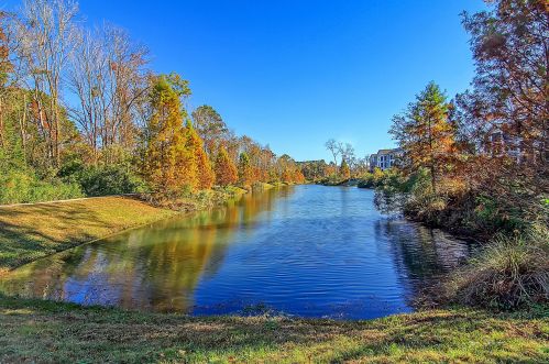 1713 Lauda Dr, Mount Pleasant SC  29464-9601 exterior