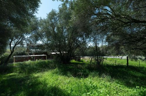 1500 Gold Hill Rd, Newcastle CA  95658-9245 exterior