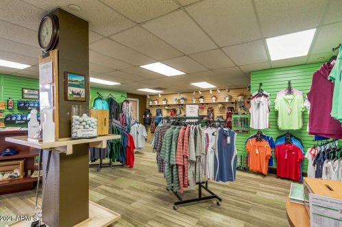 1569 Torrey Pines Ln, Chandler AZ  85249-8523 exterior