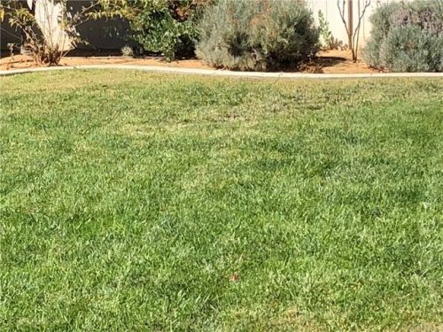 1649 Snowberry Rd, Beaumont, CA 92223-8606